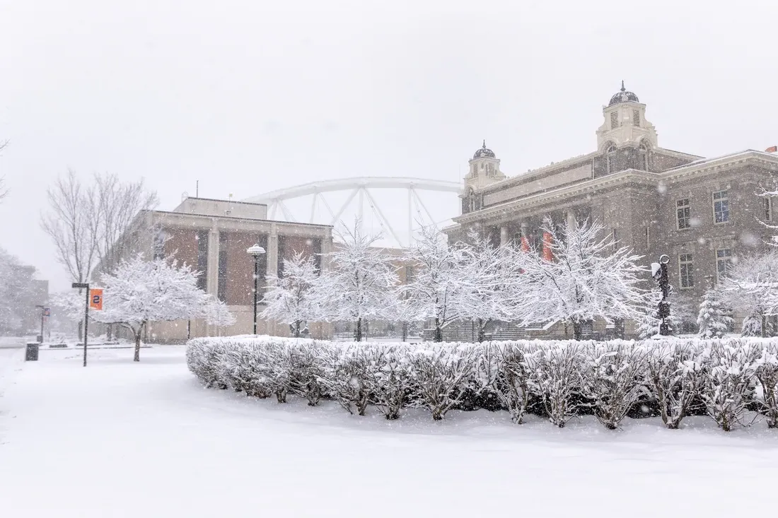 雪城大学校园冬天的照片.